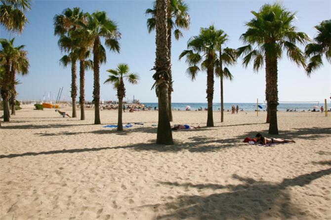Sun And Beach Lovers 12019 La Pineda Eksteriør billede