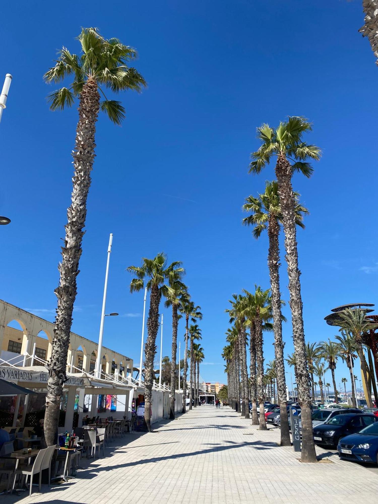 Sun And Beach Lovers 12019 La Pineda Eksteriør billede